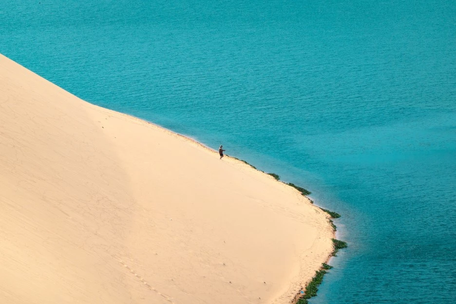 DSC07173re.jpg?type=w1