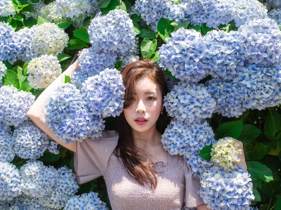 IMGP6366re.jpg?type=w1