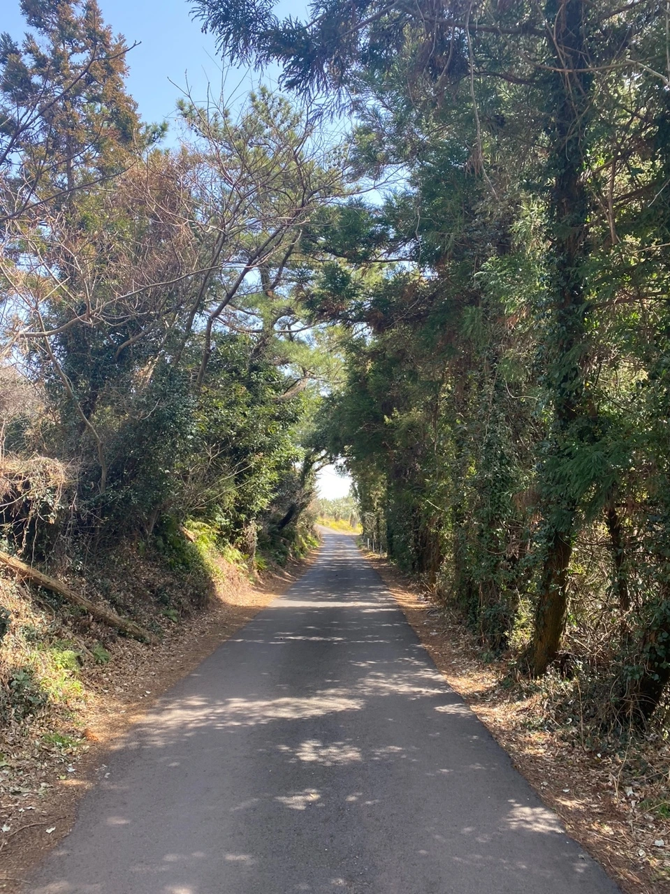 KakaoTalk_Photo_2022-03-15-15-18-14 005.jpeg