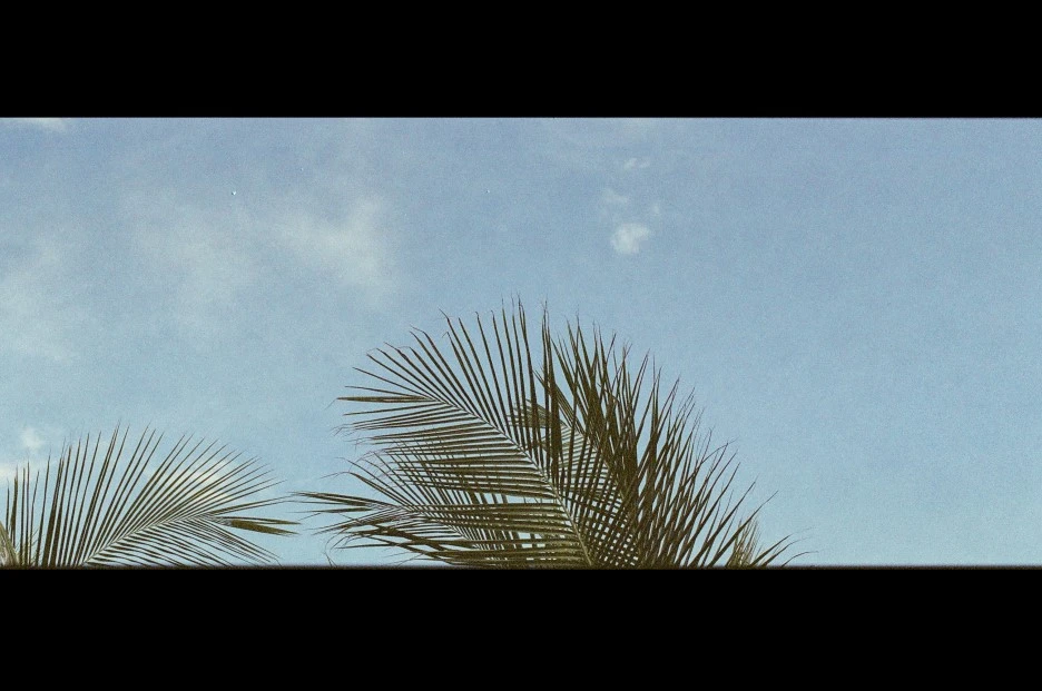 009200990002190920_%EC%82%AC%EB%B3%B8.jpg?type=w1