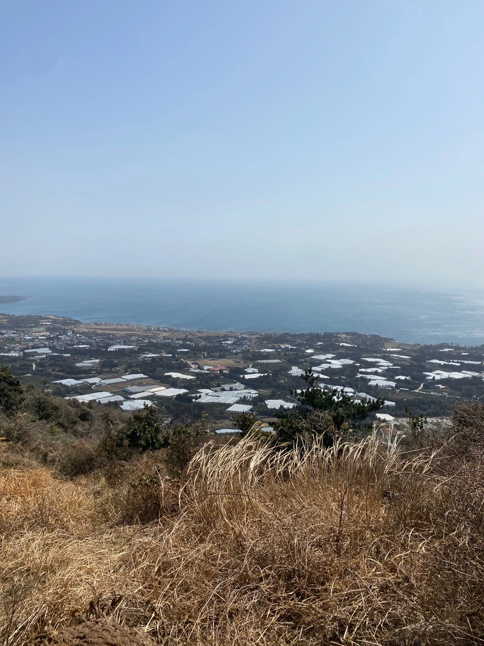 KakaoTalk_Photo_2022-03-15-15-18-15 006.jpeg