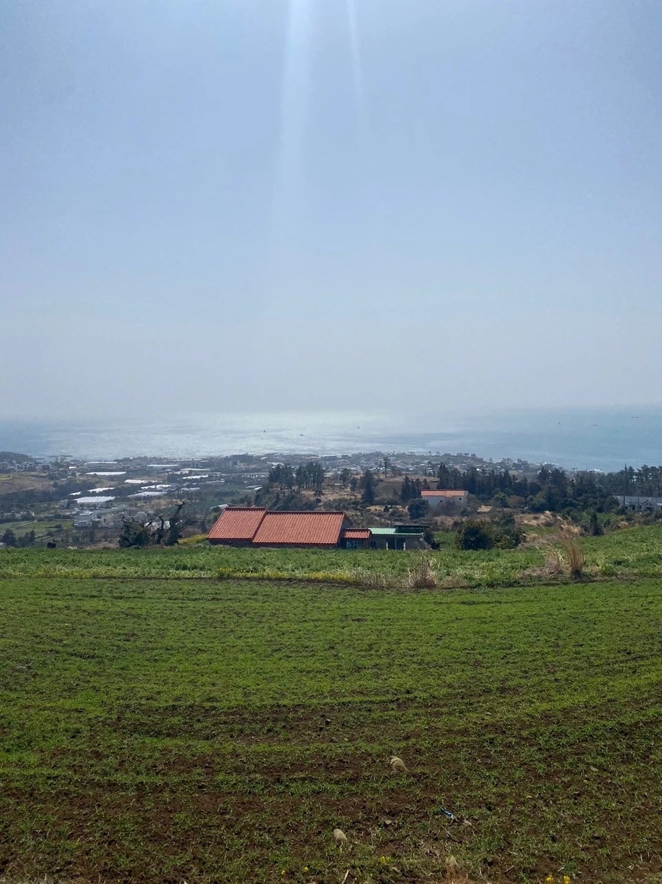 KakaoTalk_Photo_2022-03-15-15-18-14 004.jpeg