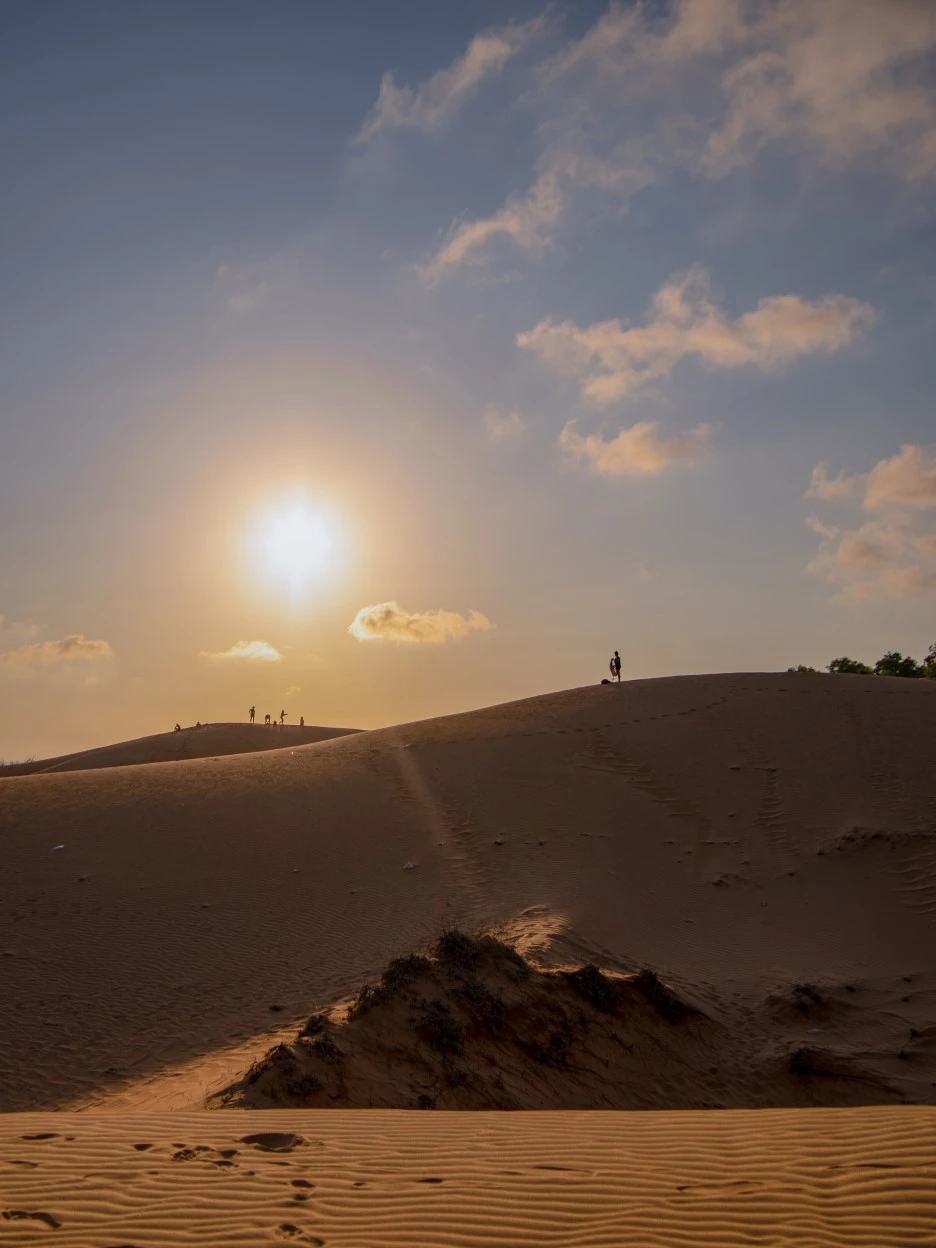 IMGP0499re.jpg?type=w1