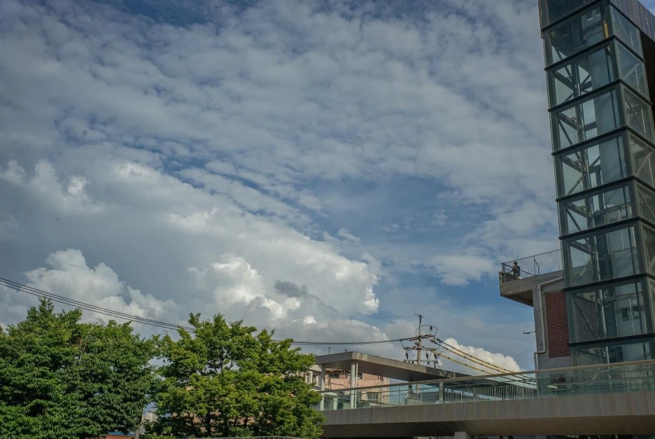 219541686_193783856062127_2918199080282201327_n.jpg?type=w1