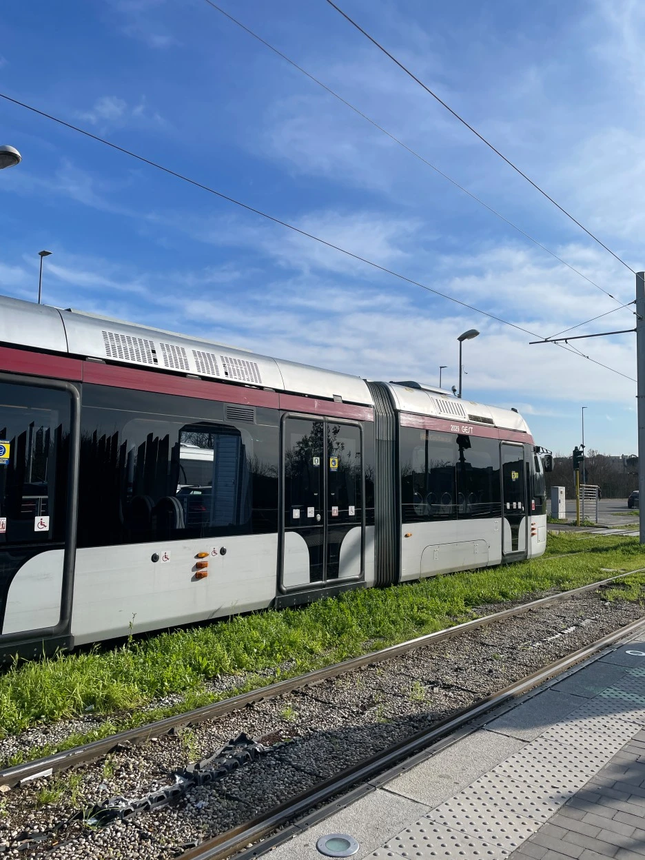 IMG_1906.jpg?type=w1