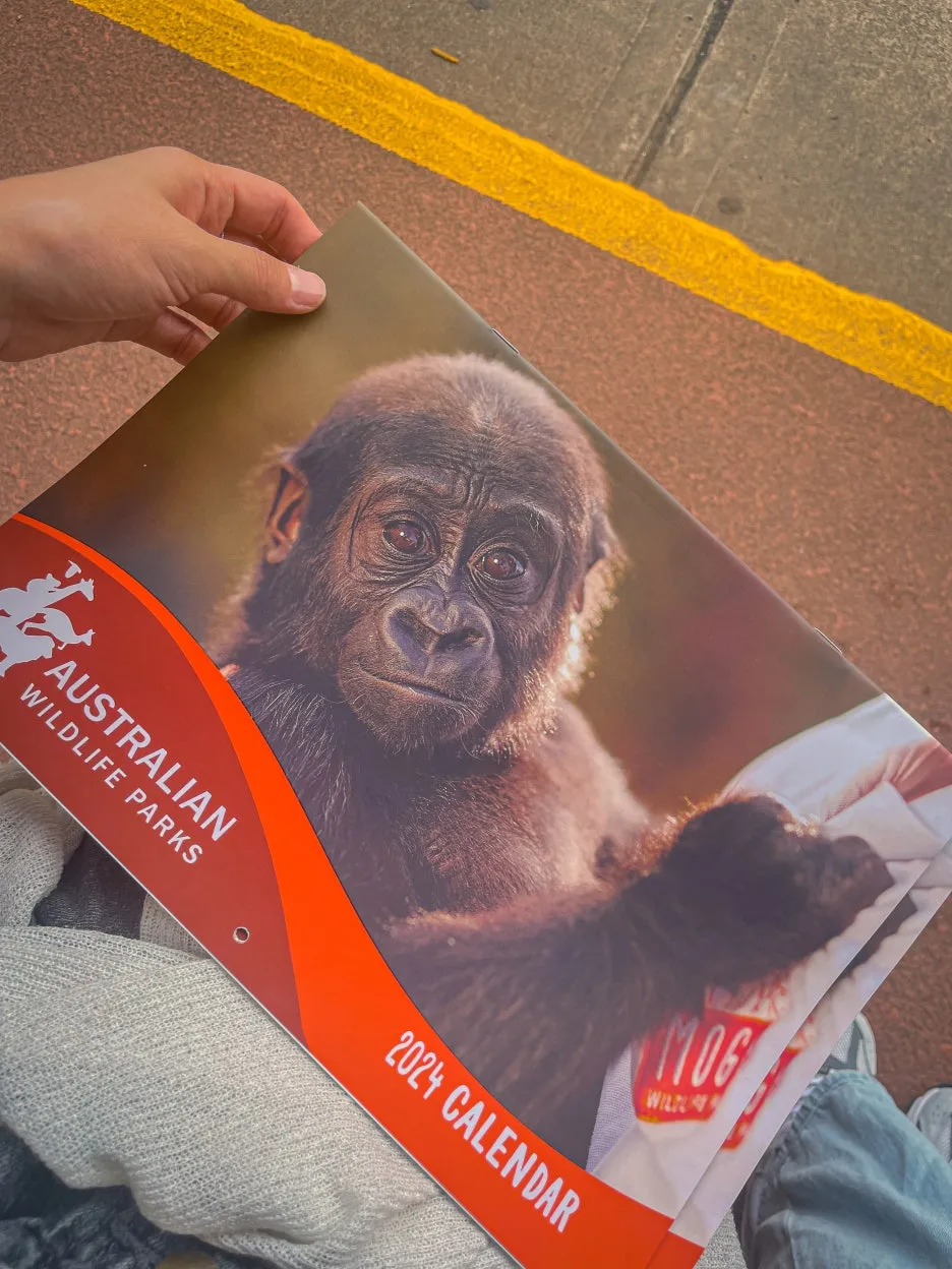 IMG_5883.jpg?type=w1