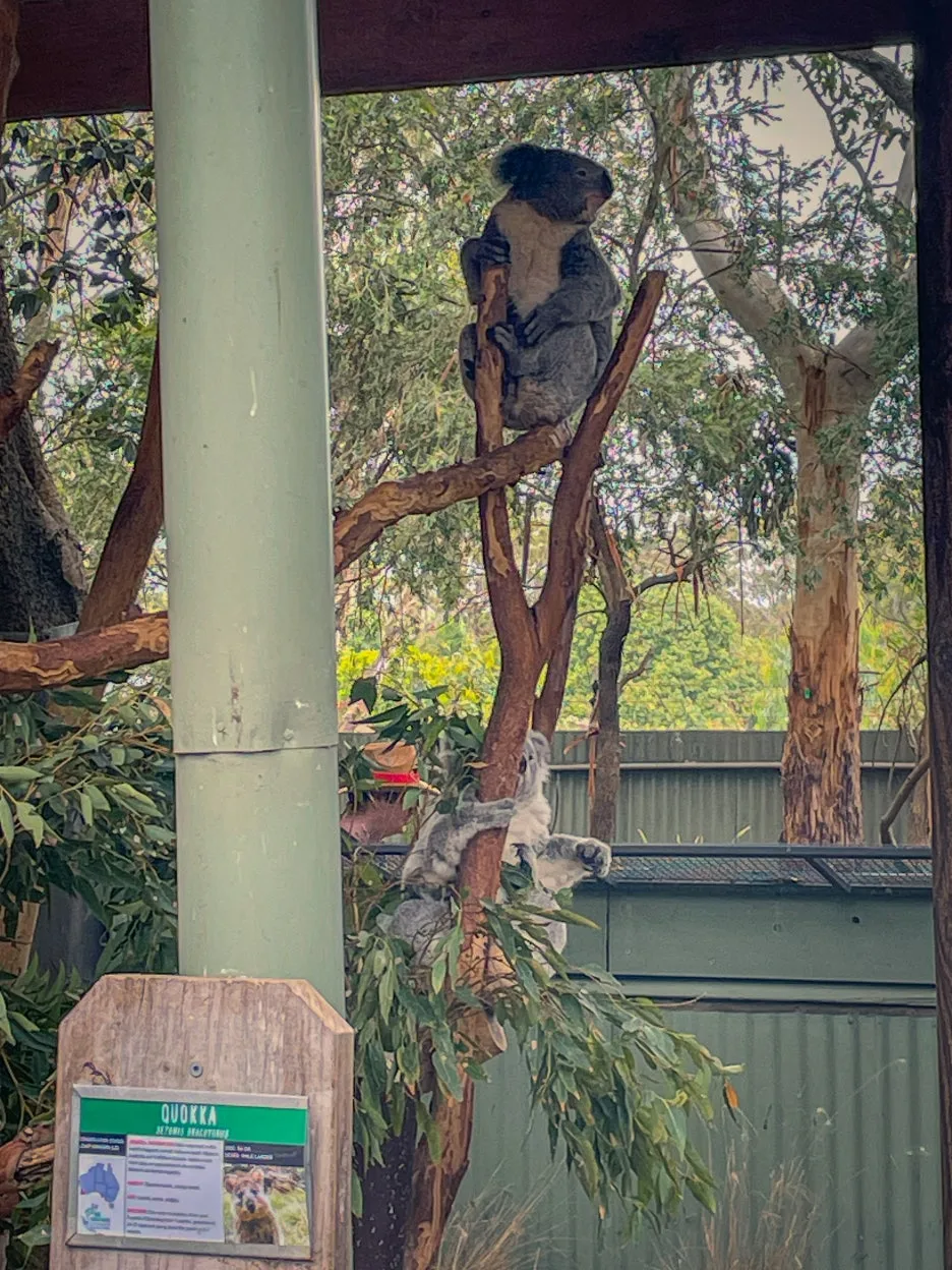 IMG_5806.jpg?type=w1