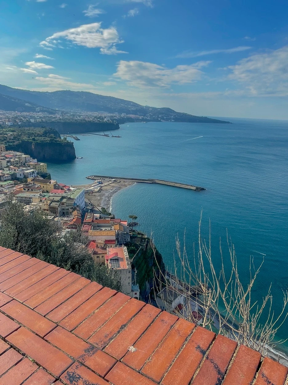 IMG_2298.jpg?type=w1