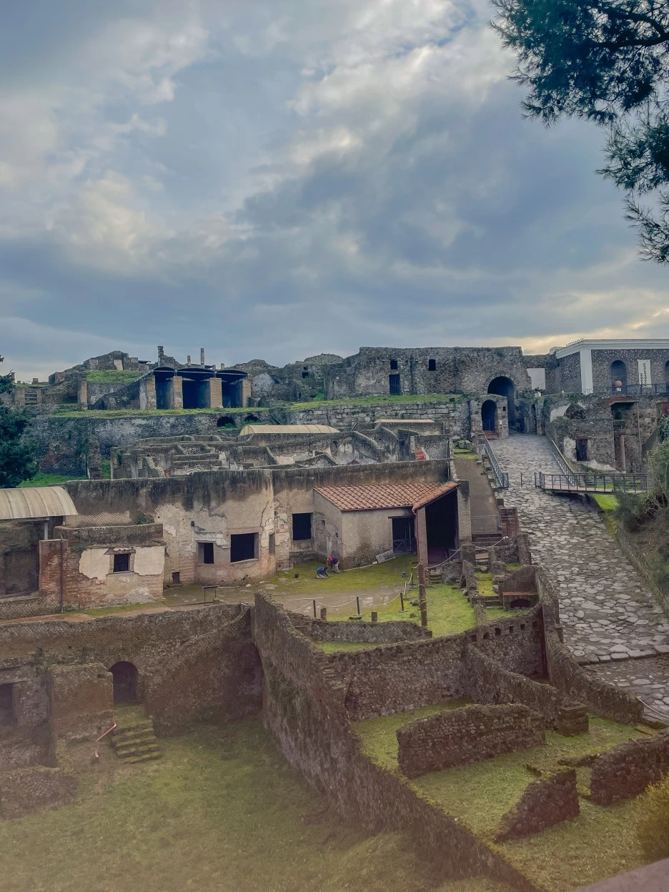 IMG_2243.jpg?type=w1