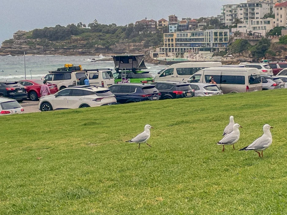 IMG_5578.jpg?type=w1