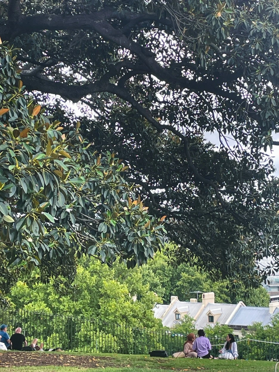 IMG_4889.jpg?type=w1