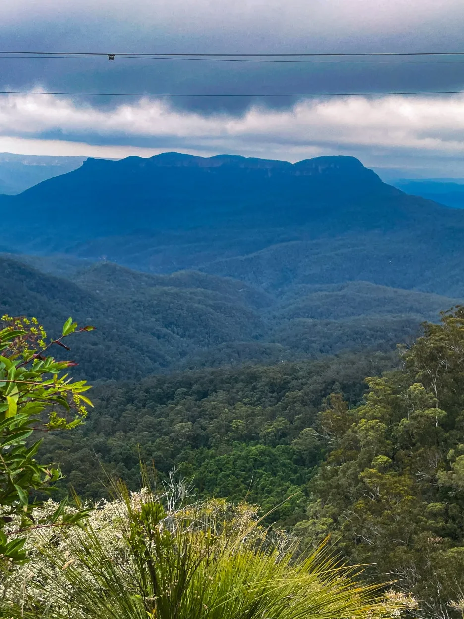 IMG_5993.jpg?type=w1