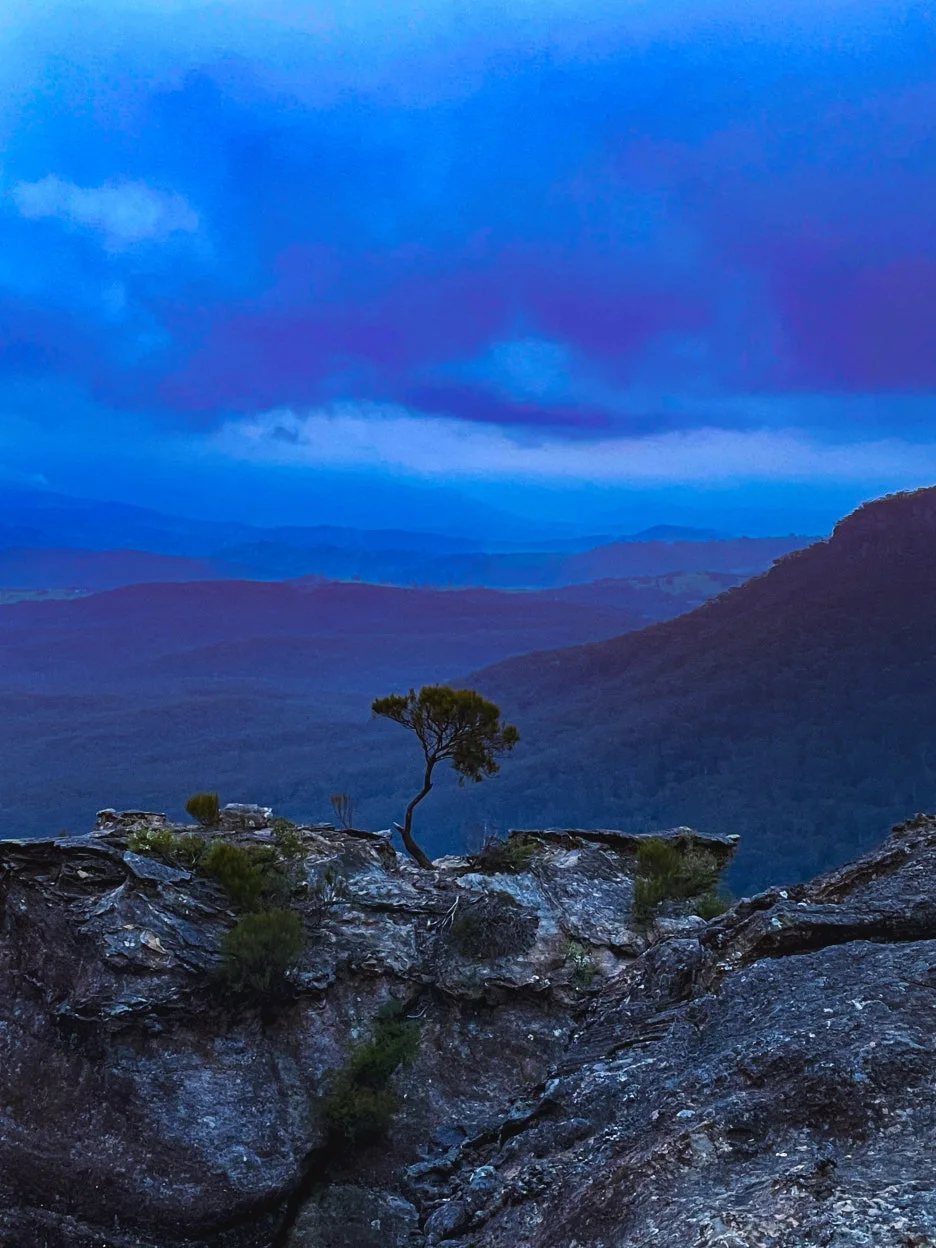 IMG_6015.jpg?type=w1