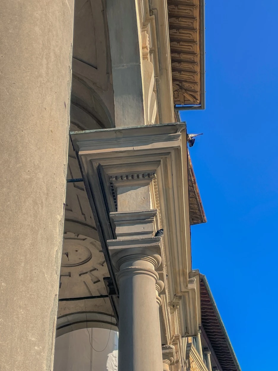 IMG_2094.jpg?type=w1