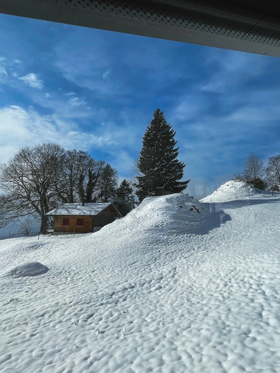 IMG_1231.jpg?type=w1