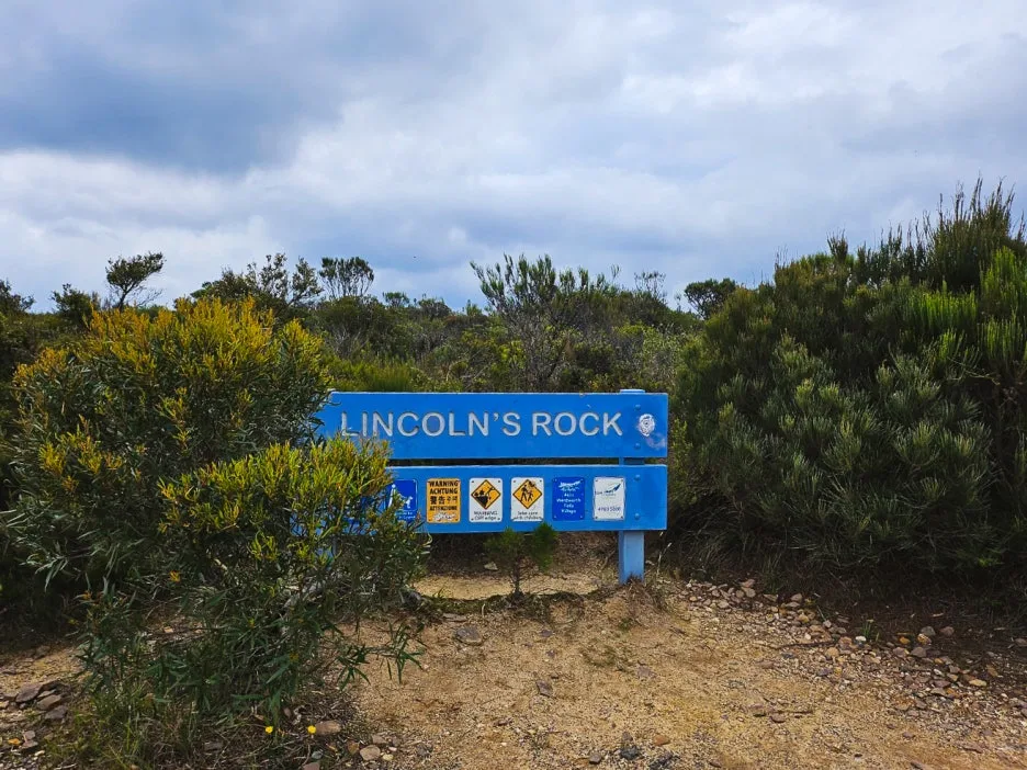 IMG_6139.jpg?type=w1