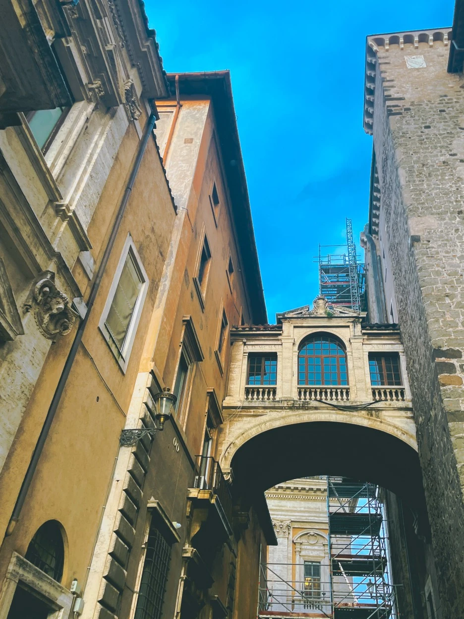 IMG_2662.jpg?type=w1