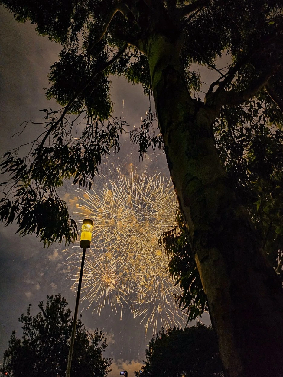 IMG_5363.jpg?type=w1