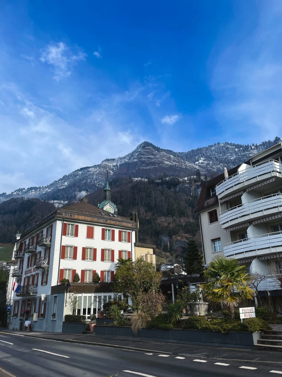 IMG_1170.jpg?type=w1