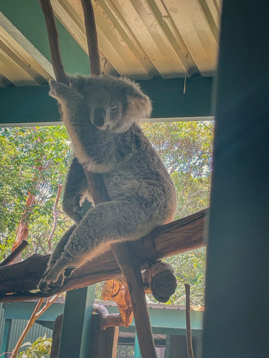 IMG_5794.jpg?type=w1