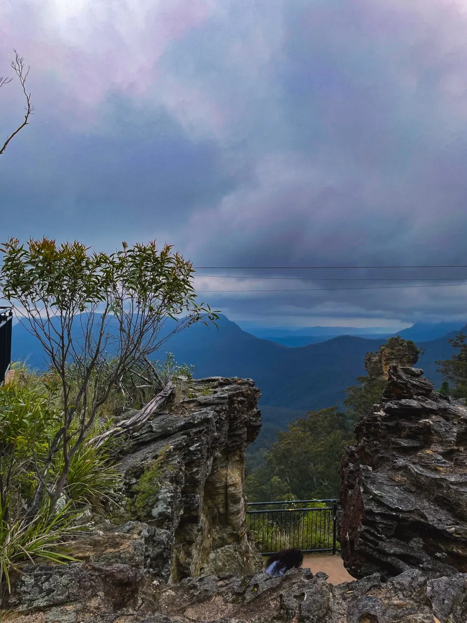 IMG_5996.jpg?type=w1