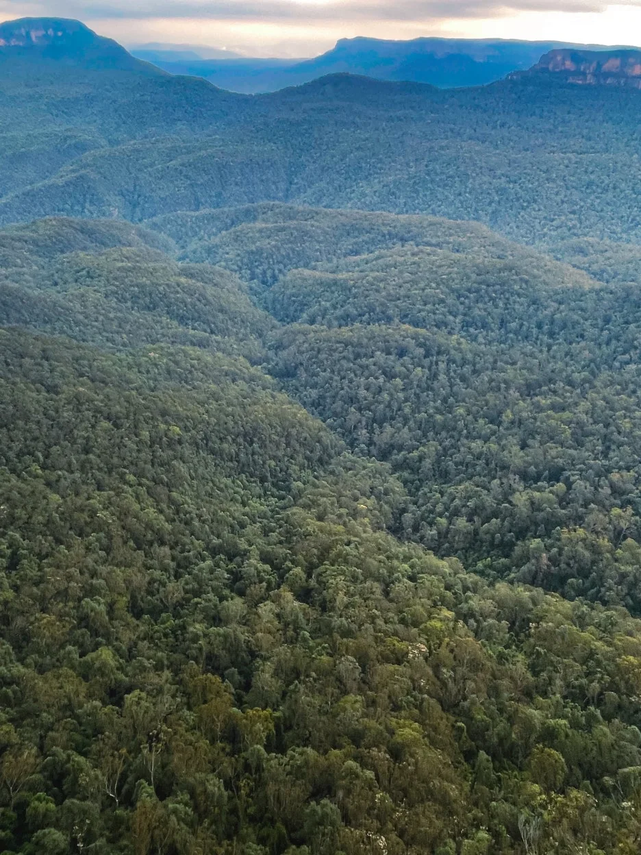 IMG_5952.jpg?type=w1