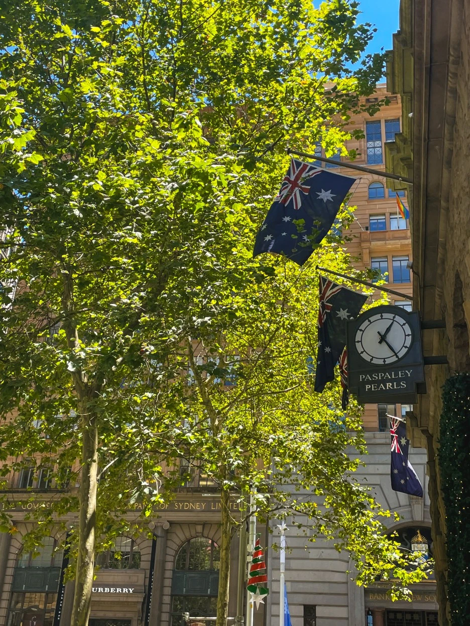 IMG_4799.jpg?type=w1