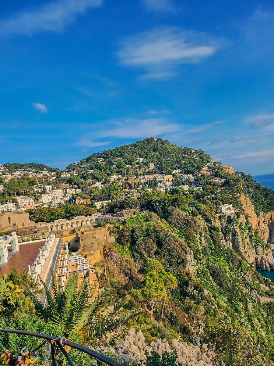 IMG_3734.jpg?type=w1