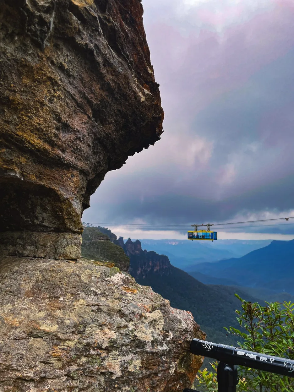 IMG_5994.jpg?type=w1