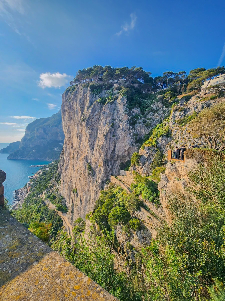 IMG_3735.jpg?type=w1