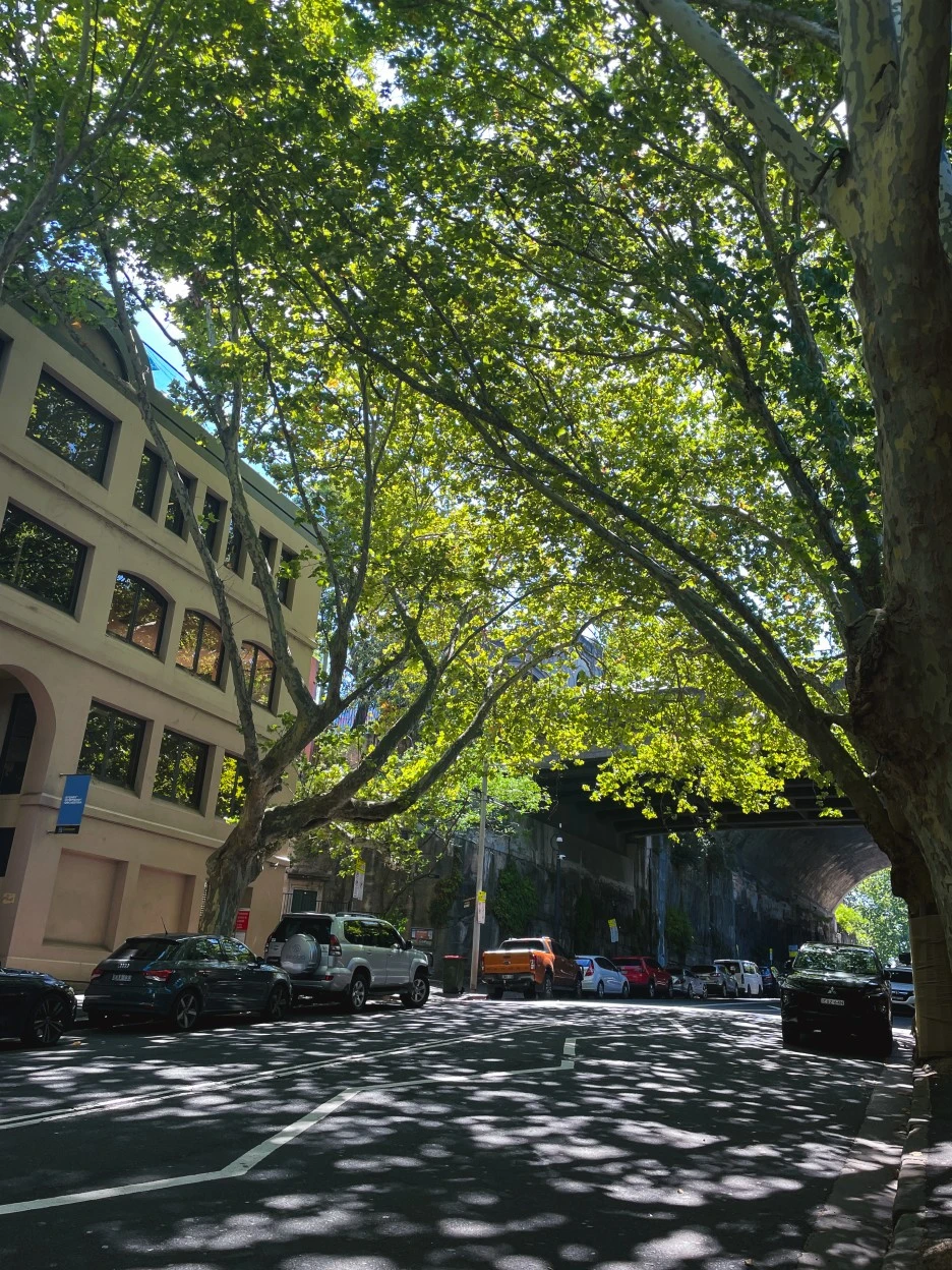 IMG_4837.jpg?type=w1