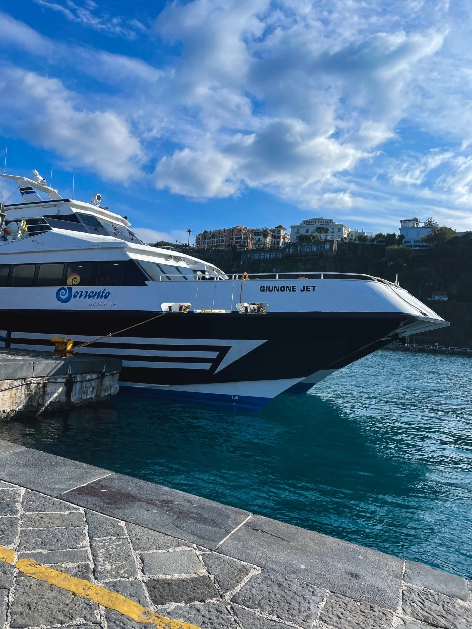 IMG_2361.jpg?type=w1