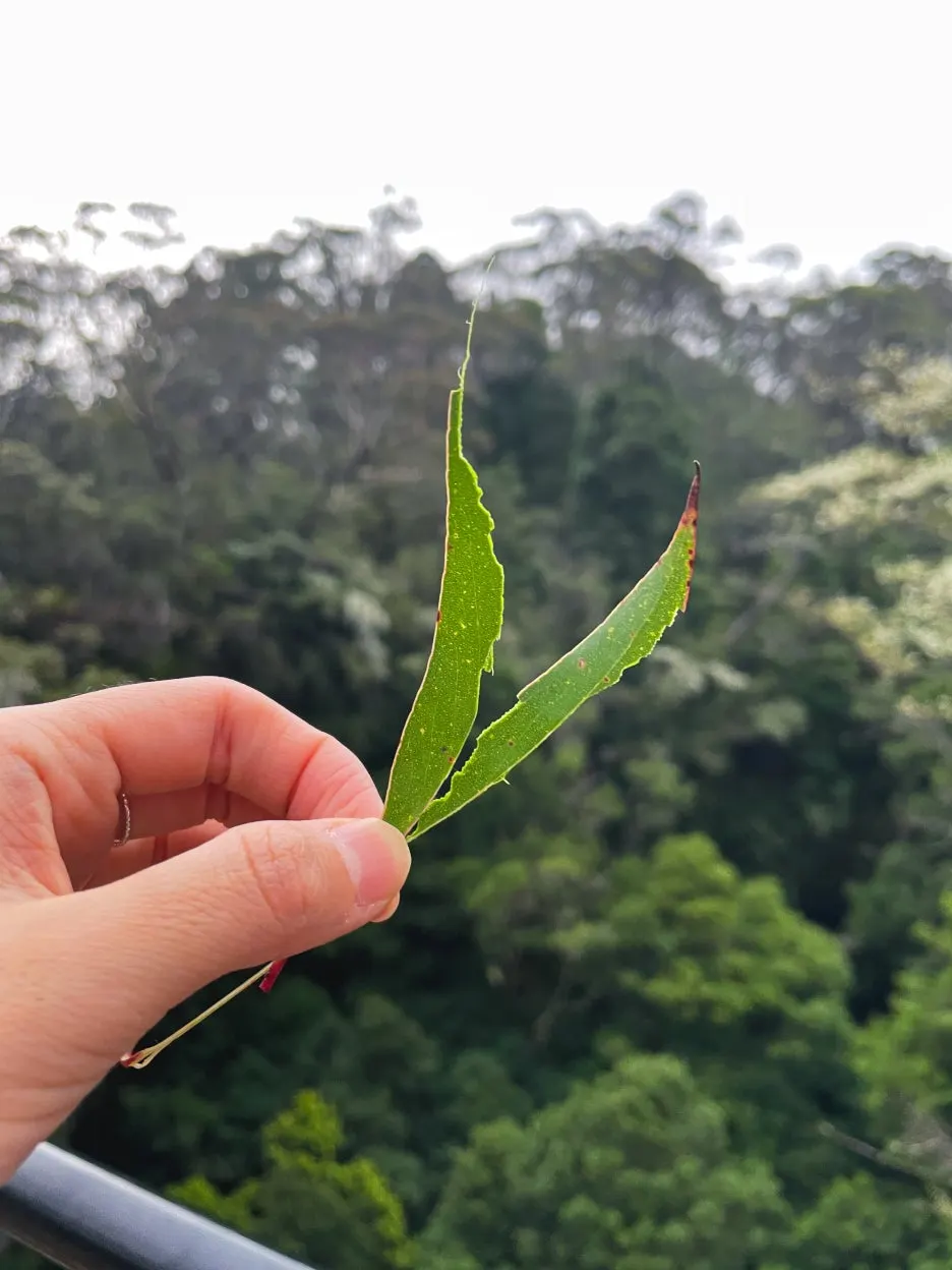 IMG_5983.jpg?type=w1