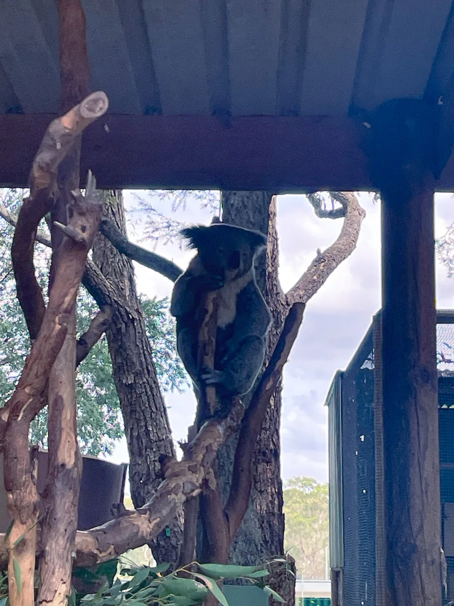 IMG_5808.jpg?type=w1