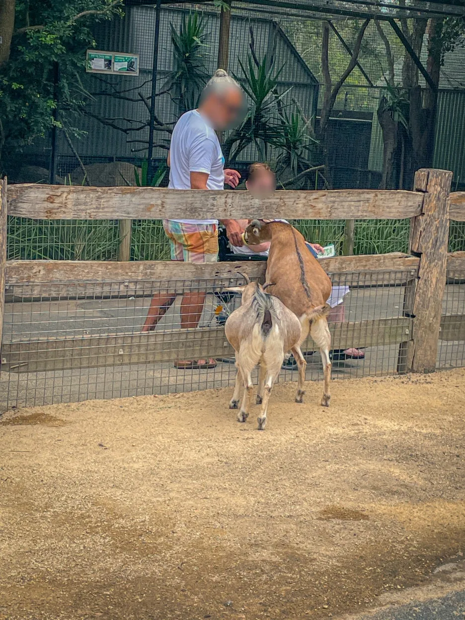 SE-97e816d0-fb5d-44c5-881f-ecc12b5717d0.jpg?type=w1