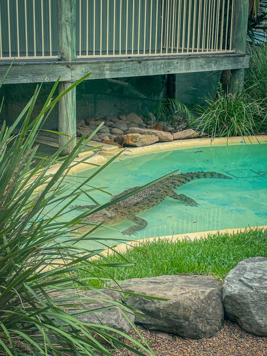 IMG_5866.jpg?type=w1