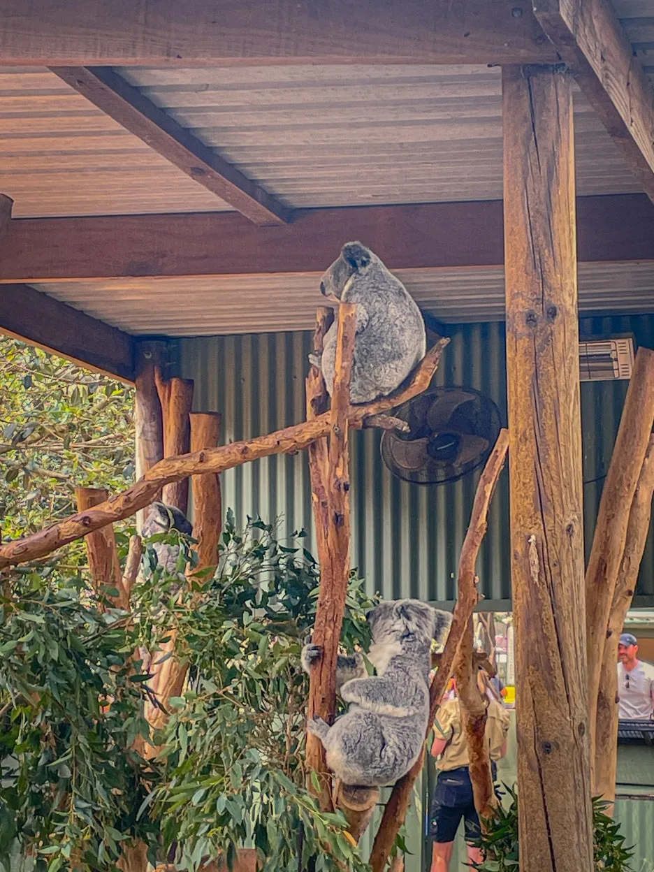 IMG_5804.jpg?type=w1