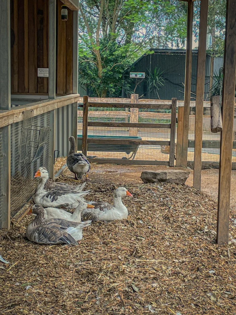 IMG_5864.jpg?type=w1