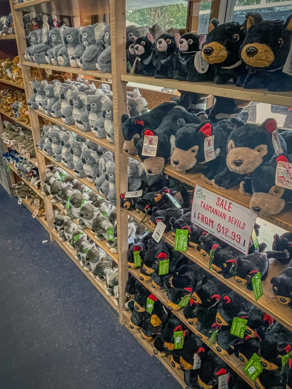 IMG_5878.jpg?type=w1