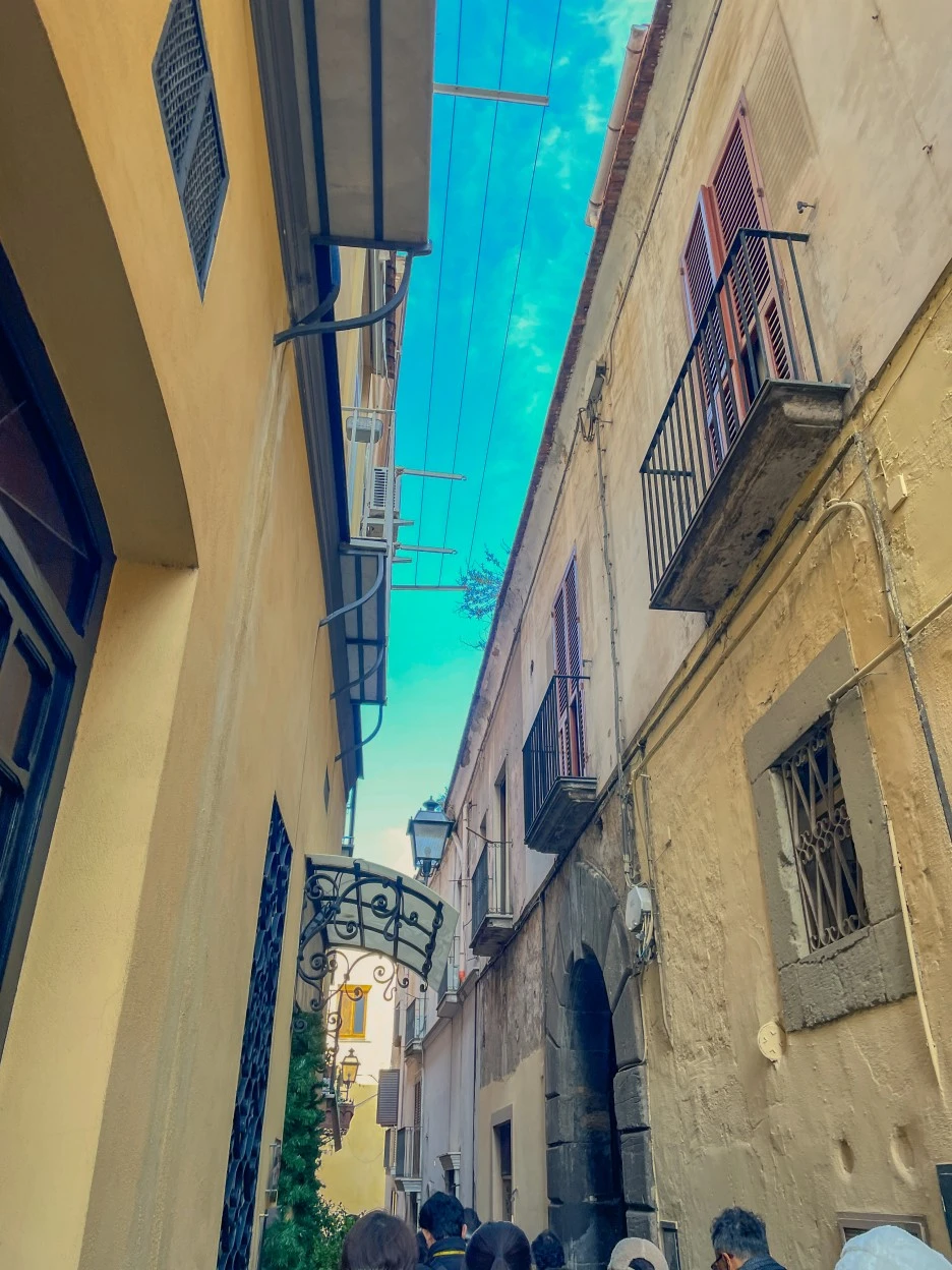 IMG_2345.jpg?type=w1