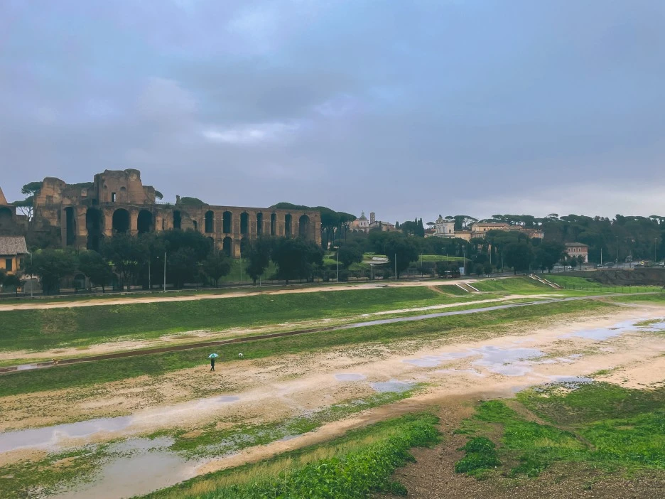 IMG_2646.jpg?type=w1