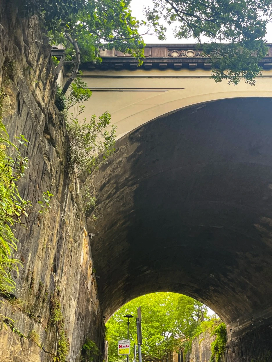 IMG_5265.jpg?type=w1