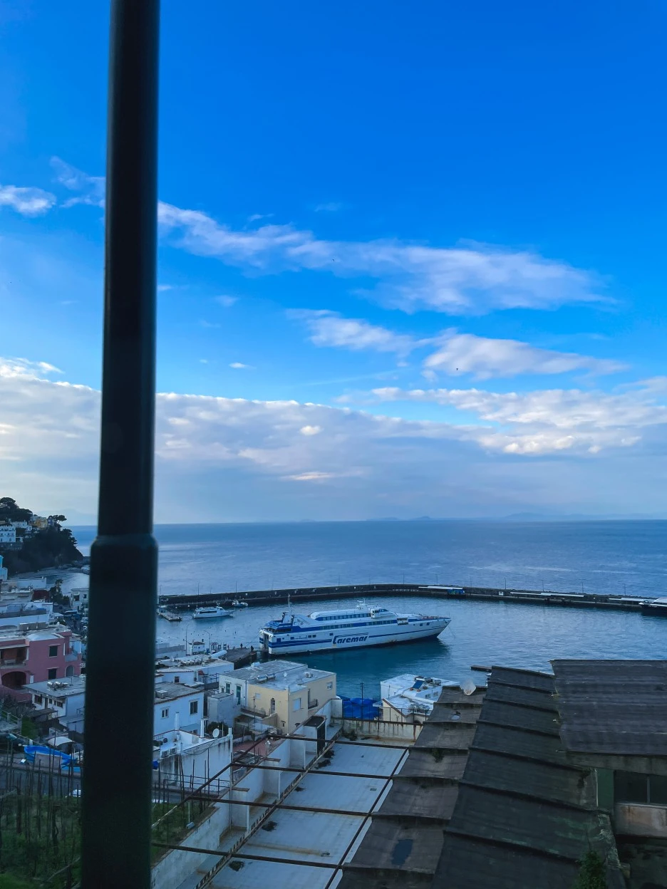 IMG_2499.jpg?type=w1