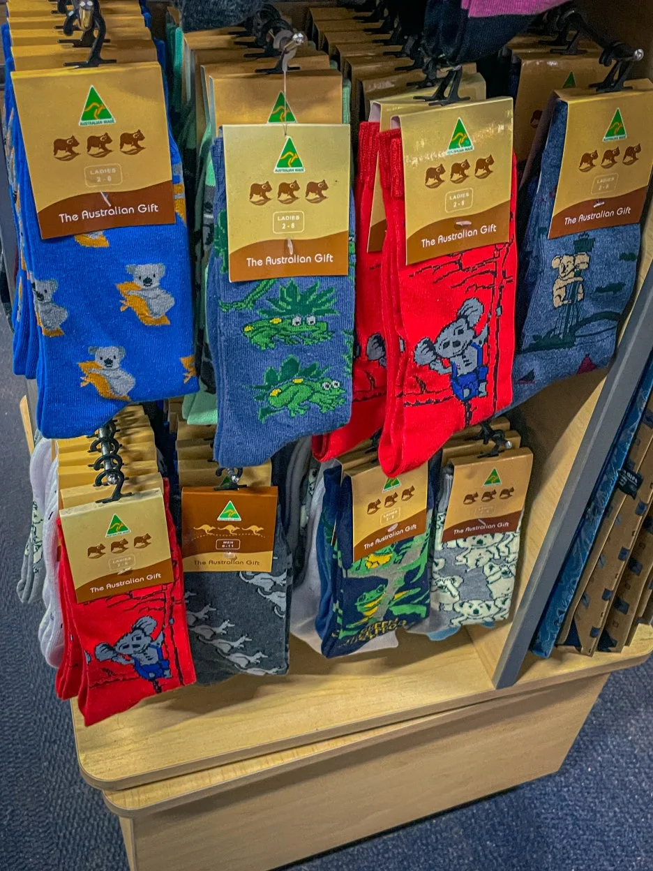 IMG_5876.jpg?type=w1