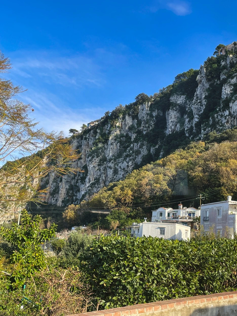 IMG_2387.jpg?type=w1