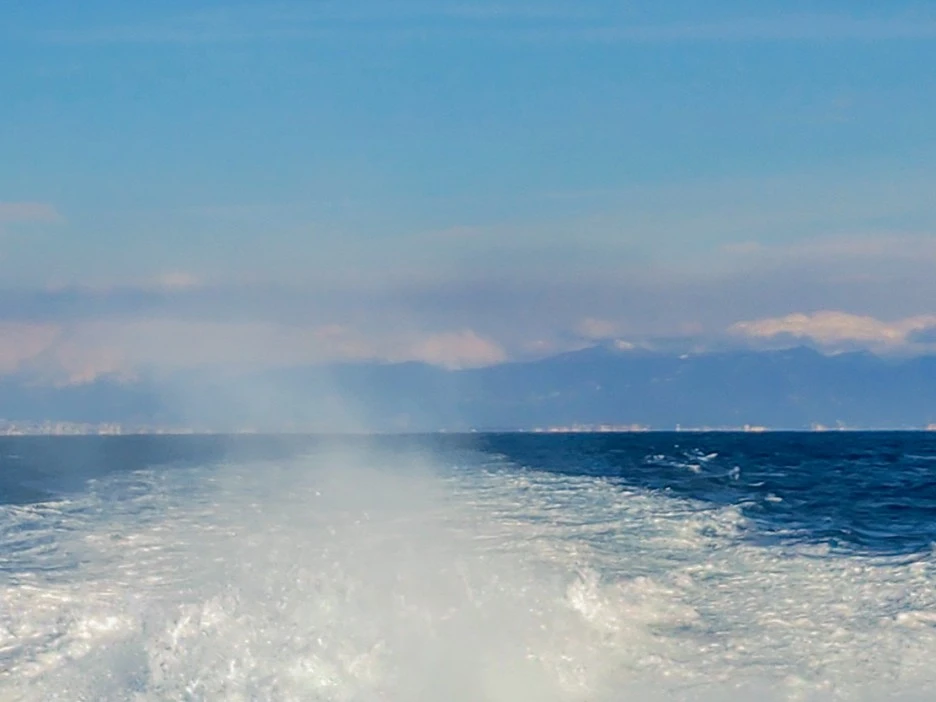 IMG_3706.jpg?type=w1