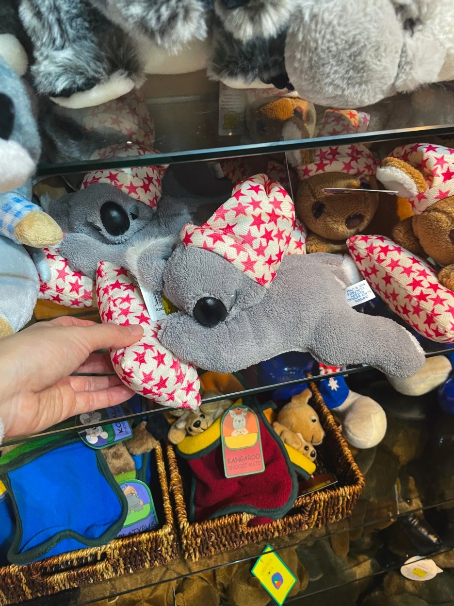 IMG_4918.jpg?type=w1