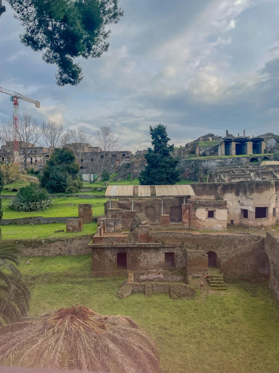 IMG_2244.jpg?type=w1