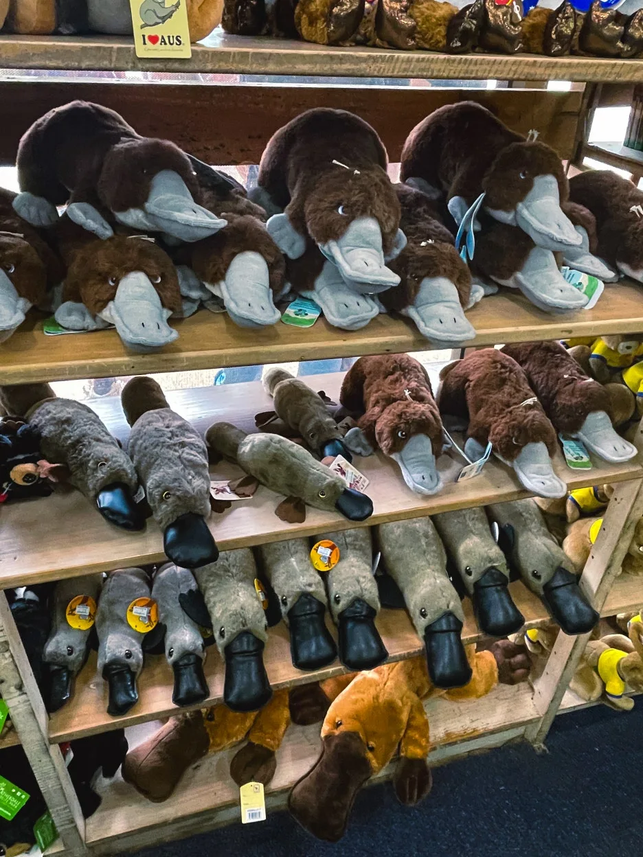 IMG_5877.jpg?type=w1