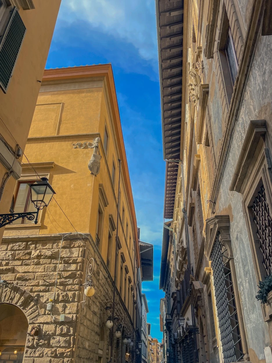 IMG_2037.jpg?type=w1